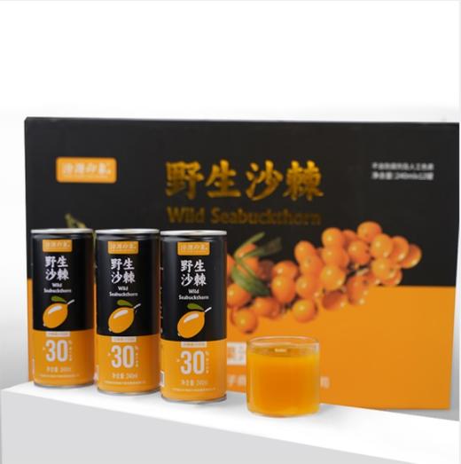 汾源印象 沙棘饮料 240ml 8罐装 商品图2
