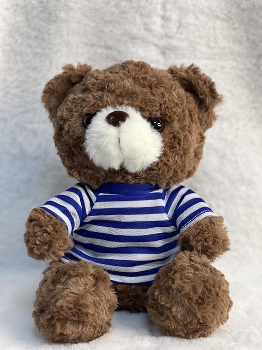 【体能小熊公仔】体能小熊公仔23cm毛绒公仔陪伴公仔送1个日富一日帆布袋y 商品图12