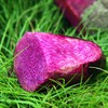 【江西好物】赣南紫山药   2.5斤/4.5斤 商品缩略图3
