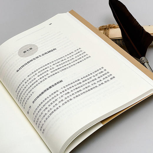 西部农村特岗教师发展状况和生态机制研究 加强农村教师队伍建设 商品图7