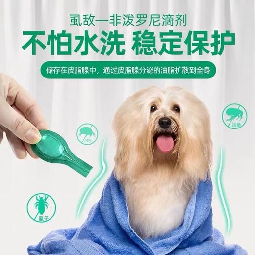 小宠虱敌驱虫药狗狗体外驱虫滴剂跳蚤蜱虫杀虫药10kg犬用/支 商品图1