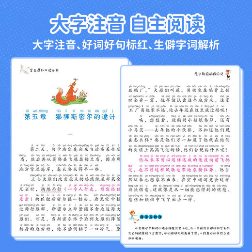 【国际获奖小说20册】柳林风声 尼尔斯骑鹅旅行记 等 彩绘注音版 商品图3