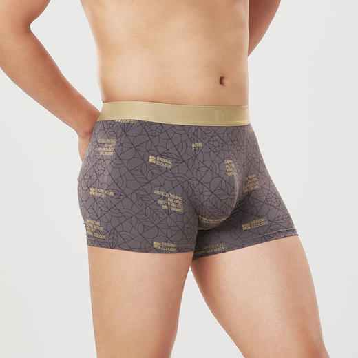 都市丽人都市锋尚日常休闲40S人棉舒适人棉平角男士内裤FK3CD9 商品图2