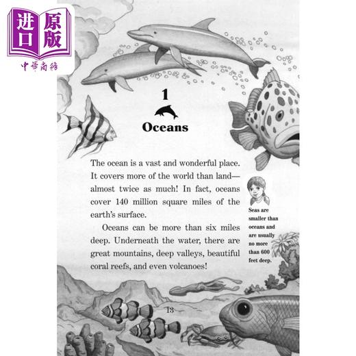 【中商原版】Magic Tree House Fact Tracker 9 Dolphins and Sharks 神奇树屋小百科9 英文原版进口图书 神奇树屋 小初文学 商品图2