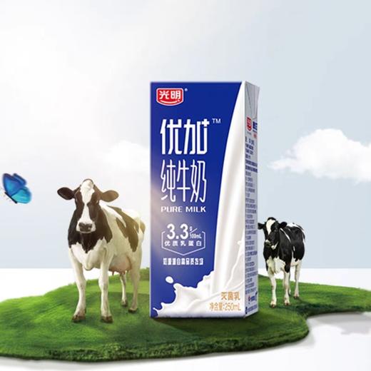 新货光明纯牛奶优加纯牛奶3.3g优质乳蛋白营养纯奶250ml*12 商品图4