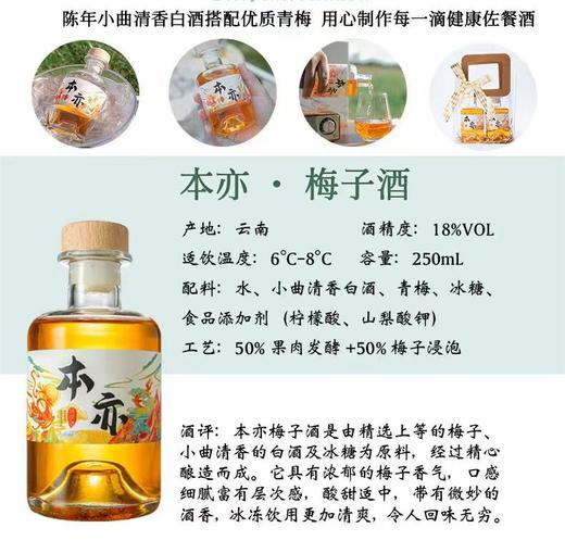 本亦 梅子酒250ml |果酒 商品图1