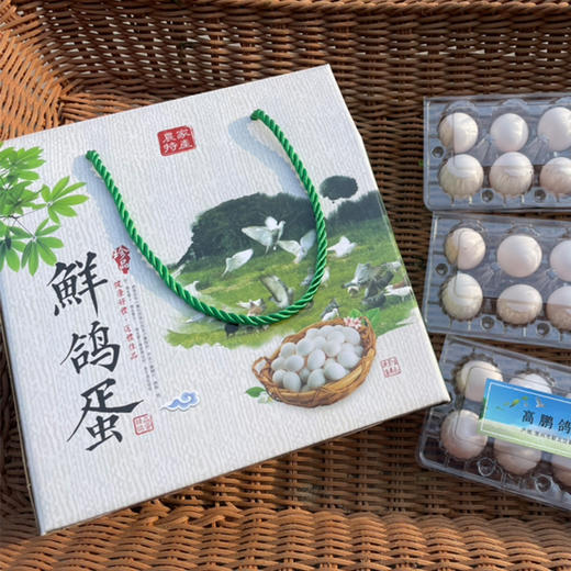 新桥高鹏 本地鲜鸽蛋鸽子蛋 10个/板  30个/箱 60个/礼盒装 商品图3