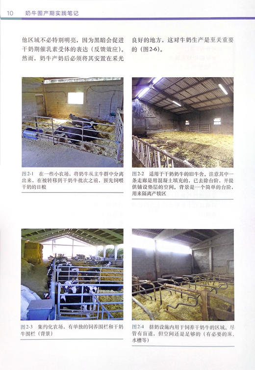 奶牛围产期实践笔记【可开发票，下单时留开票信息及邮箱】 商品图5