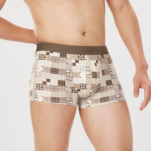 都市丽人都市锋尚潮流时尚RC棉棉质平角男士内裤FK3CE2 商品图2