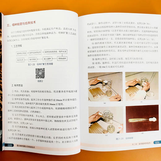 图说食用菌生态栽培技术 商品图3