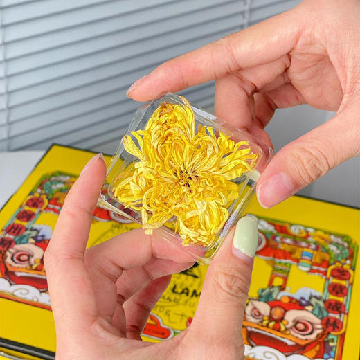 【72小时发货】香港宝芝林金丝皇菊 80g/盒 赠礼袋 商品图5