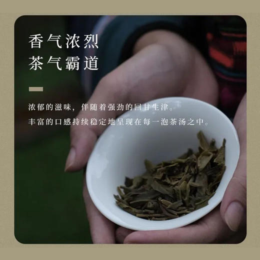 生普 |【2023年新茶】 陈升号 源班章砖 200g/砖 商品图3