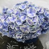 配花-绣球-孔雀-1支 商品缩略图0