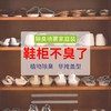 淳野 鞋袜祛味喷雾除臭 植物除臭喷雾细腻 分解异味 商品缩略图4