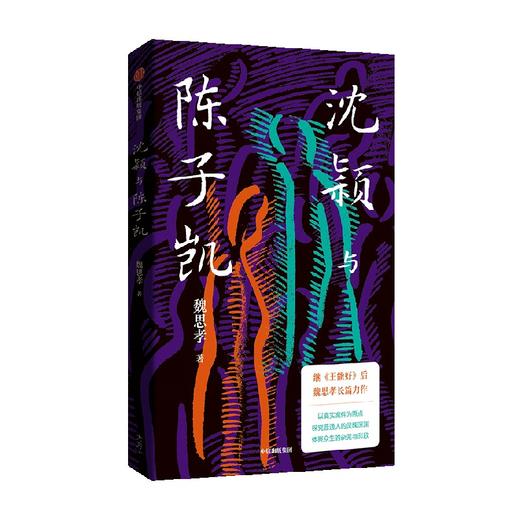 沈颖与陈子凯 魏思孝著 王能好作者 魏思孝长篇新作 以真实案件为原点 探究普通人的灵魂深渊 商品图2