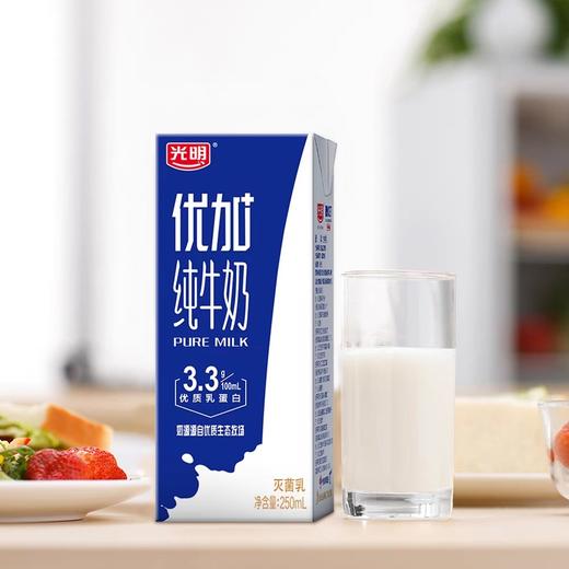 新货光明纯牛奶优加纯牛奶3.3g优质乳蛋白营养纯奶250ml*12 商品图2