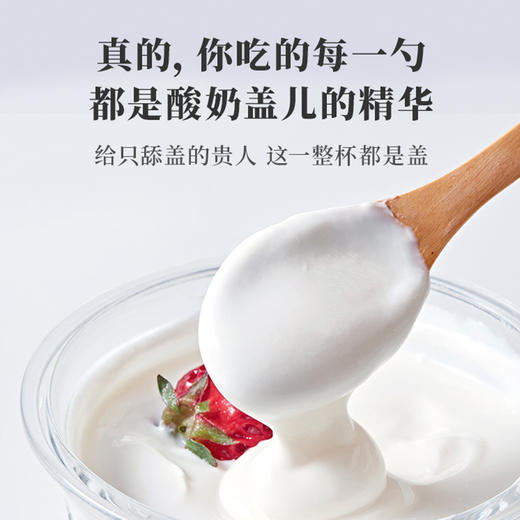 乐纯三三三倍希腊酸奶12盒 宝宝孕妈都可以吃的低温酸奶 好喝到舔盖 商品图3