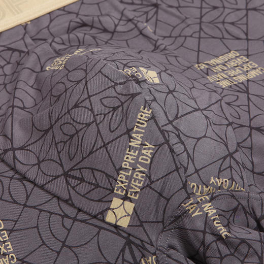 都市丽人都市锋尚日常休闲40S人棉舒适人棉平角男士内裤FK3CD9 商品图4