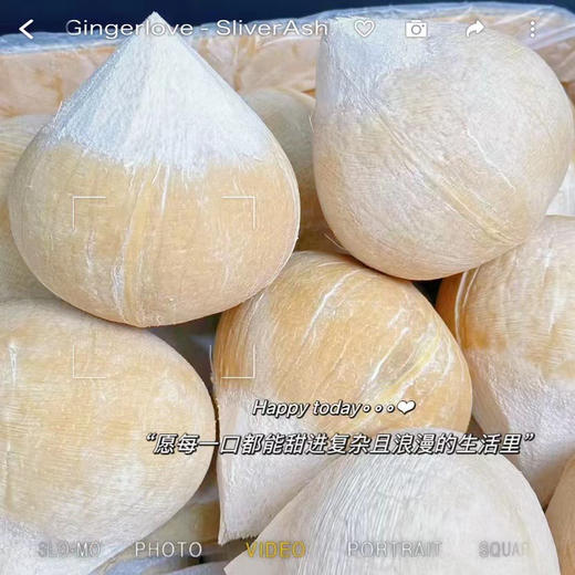 泰国 椰皇 商品图1