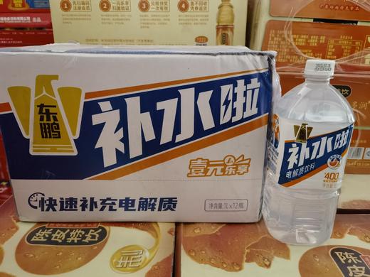 大东鹏电解质水补水西柚味 1L*12瓶 商品图0