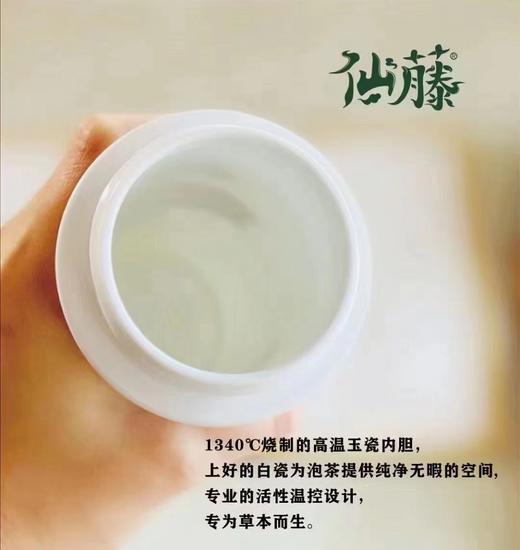 仙藤肉肉杯 亲肤级硅胶外套玉瓷内胆保温杯瑜伽杯养生杯 商品图8