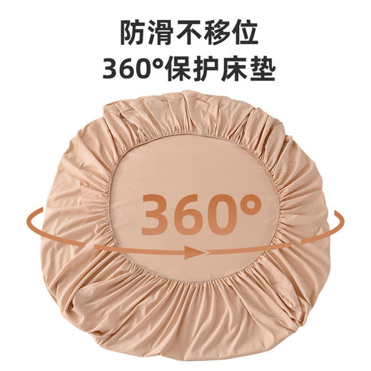 【2套99元】双面用床笠、床笠单件夏季全包床罩、床垫保护罩防尘床单套防滑 商品图7