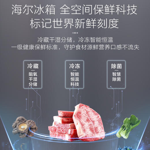 海尔（Haier）冰箱BCD-503WGHFD14WWU1 商品图2