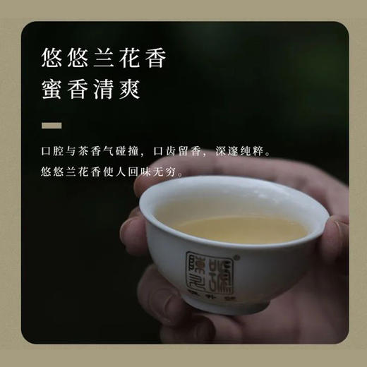 生普 |【2023年新茶】 陈升号 源班章砖 200g/砖 商品图2