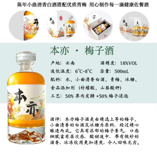 本亦 梅子酒500ml  |果酒 商品图2