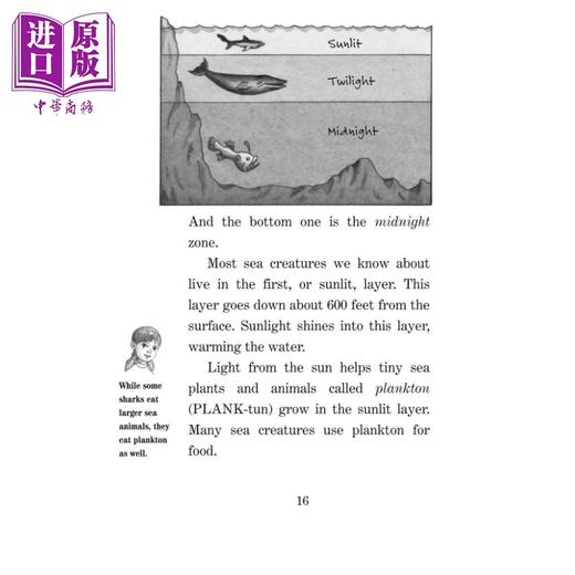 【中商原版】Magic Tree House Fact Tracker 9 Dolphins and Sharks 神奇树屋小百科9 英文原版进口图书 神奇树屋 小初文学 商品图4