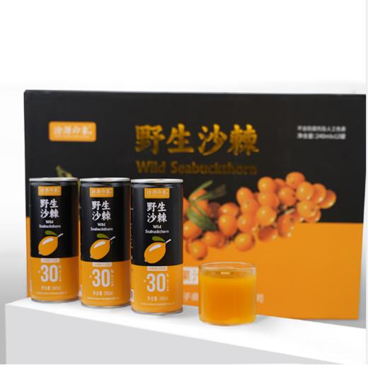 汾源印象 沙棘饮料 12罐装 商品图0