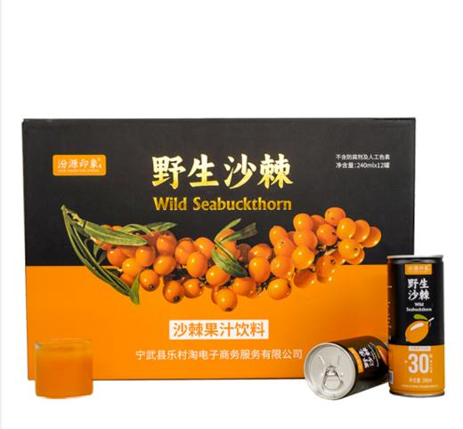 汾源印象 沙棘饮料 12罐装 商品图3