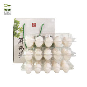 新桥高鹏 本地鲜鸽蛋鸽子蛋 10个/板  30个/箱 60个/礼盒装