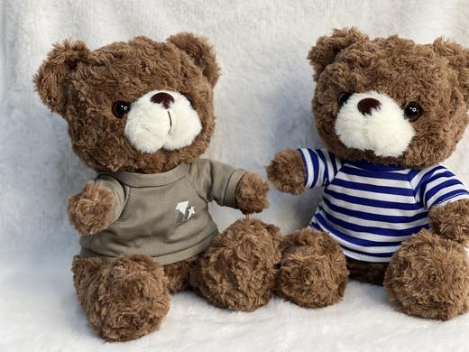 【体能小熊公仔】体能小熊公仔23cm毛绒公仔陪伴公仔送1个日富一日帆布袋y 商品图13