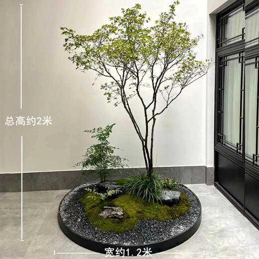 新中式植物造景款-1份室内好养植物日式风格造景定制公司前台家里阳台庭院花园设计上门布置 商品图2