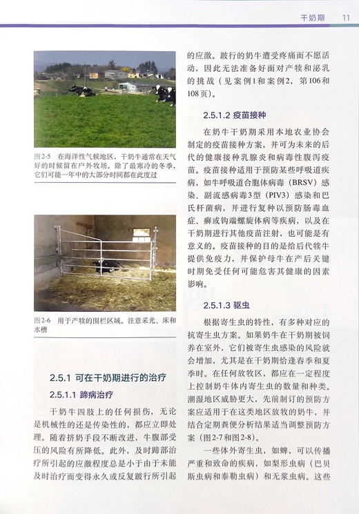 奶牛围产期实践笔记【可开发票，下单时留开票信息及邮箱】 商品图6