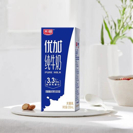新货光明纯牛奶优加纯牛奶3.3g优质乳蛋白营养纯奶250ml*12 商品图3