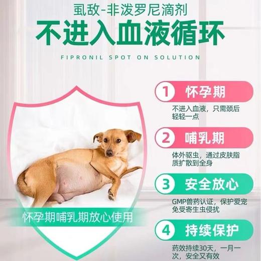小宠虱敌驱虫药狗狗体外驱虫滴剂跳蚤蜱虫杀虫药10kg犬用/支 商品图2