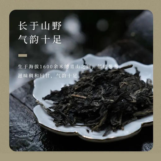 生普 |【2023年新茶】 陈升号 源班章砖 200g/砖 商品图1