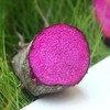 【江西好物】赣南紫山药   2.5斤/4.5斤 商品缩略图2