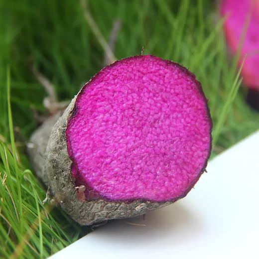 【江西好物】赣南紫山药   2.5斤/4.5斤 商品图2