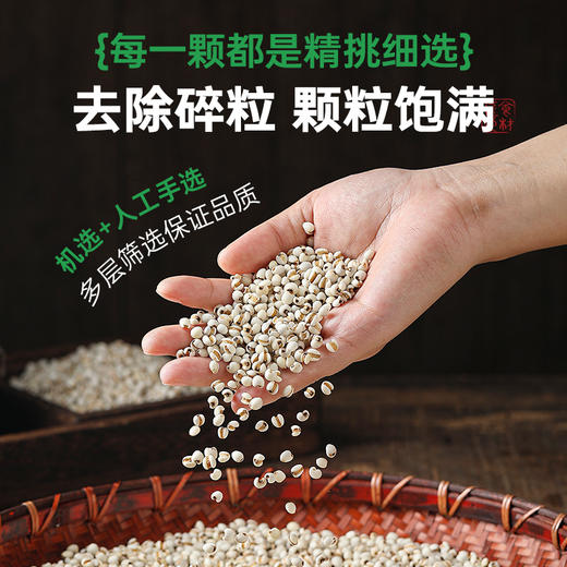 有机薏米薏仁米新货薏苡仁米小薏米五谷杂粮粗粮官方旗舰店360g 商品图3
