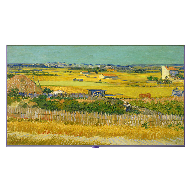 【电视机特购活动】创维电视 65/75/86/100Q7D 240Hc超高刷壁纸电视 无主机 哈曼声学2.1