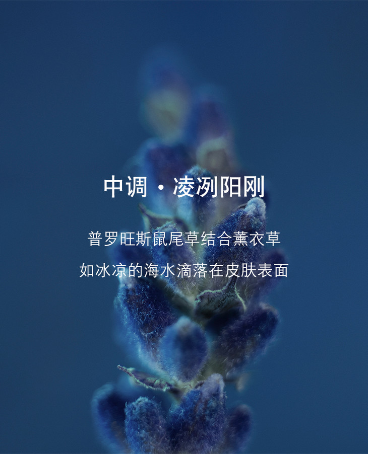 O1CN01ivQg1020dsyySGggE_!!3626596873.jpg (790Ã�976)