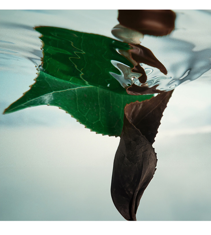 O1CN015sHieR1UGT49hxeKl_!!3527212490.jpg (750Ã�834)