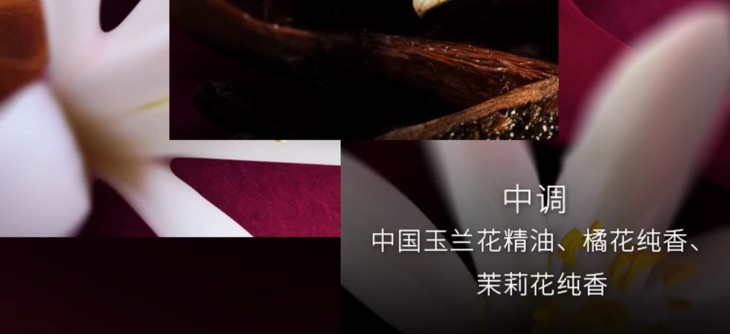 O1CN0198emyg2AqqNSY42yf_!!2207670858255.jpg (1500Ã�687)