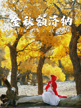 6天6晚丨仅20天的视觉盛宴，最美胡杨林