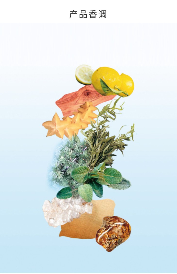 O1CN01D3Qz531msAih984Z8_!!3020325009.jpg (1500Ã�2322)