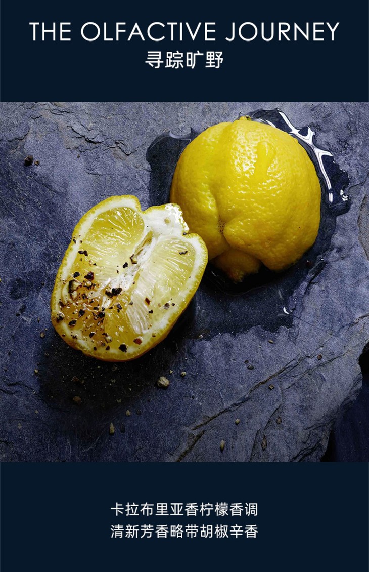 O1CN016ArOID1KT9t5U163g_!!2207959261164.jpg (1500Ã�2322)