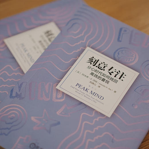 刻意专注 分心时代如何找回高效的喜悦 阿米希·P. 杰哈 著 励志与成功 商品图3